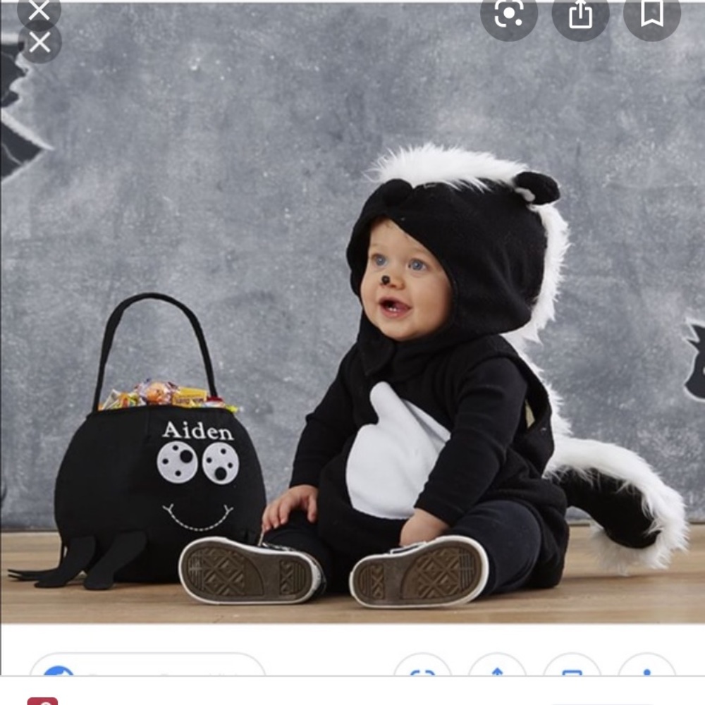 Pottery barn 0-6m skunk costume